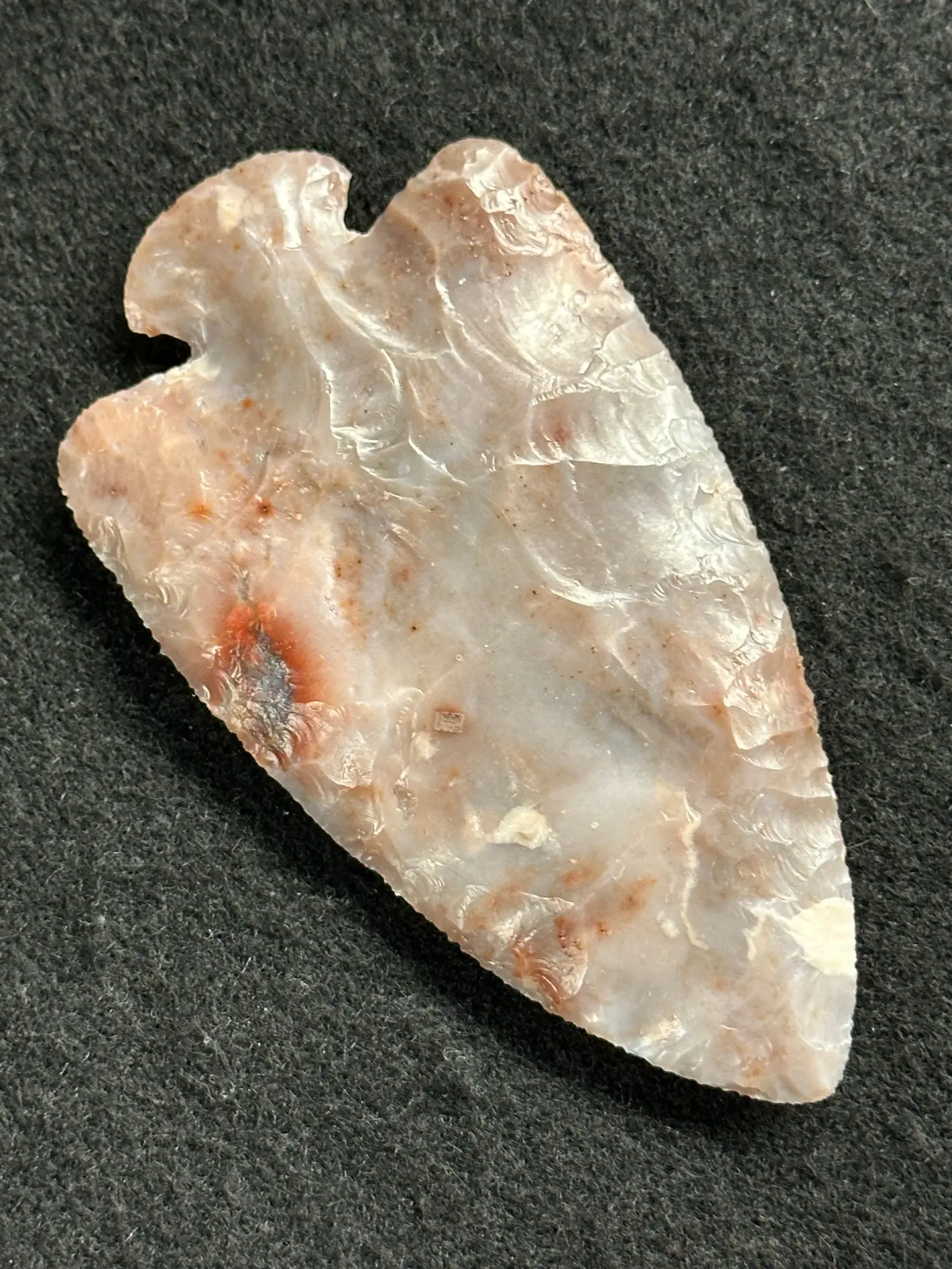 Creamy Pink and Red Dovetail 17